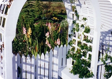 Softscaping Services